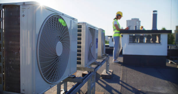 Air Duct Mold Removal